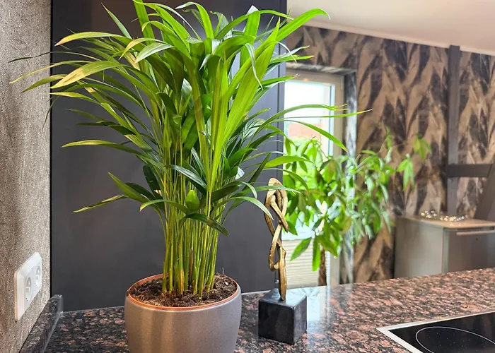 Wild&cozy Mit Luxurioeser Kueche & Garage Blankenburg (Harz)